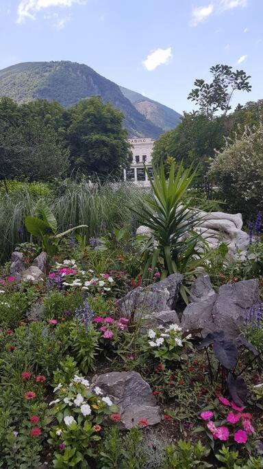 Grand T2 Calme Et Cosy Au « Pyrenees Palace » Bagneres-de-Luchon Экстерьер фото
